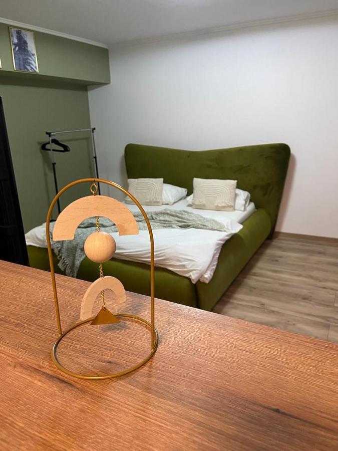 Magic Green Studio Hunedoara 아파트 외부 사진