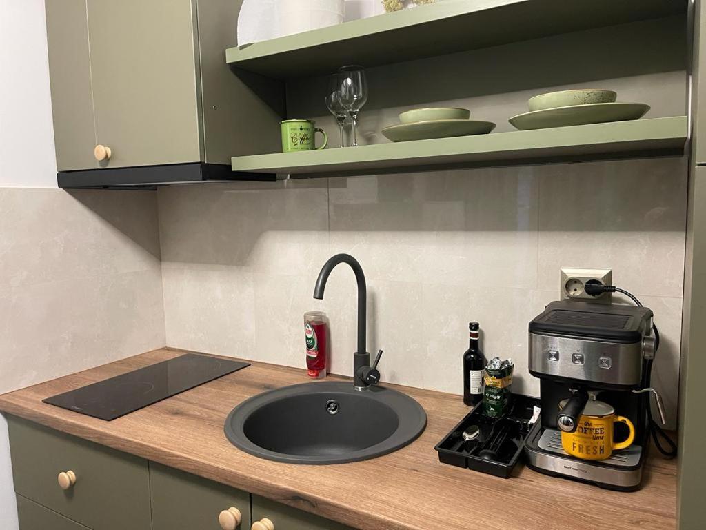 Magic Green Studio Hunedoara 아파트 외부 사진